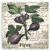 Quadro su tela, Fichi vintage
