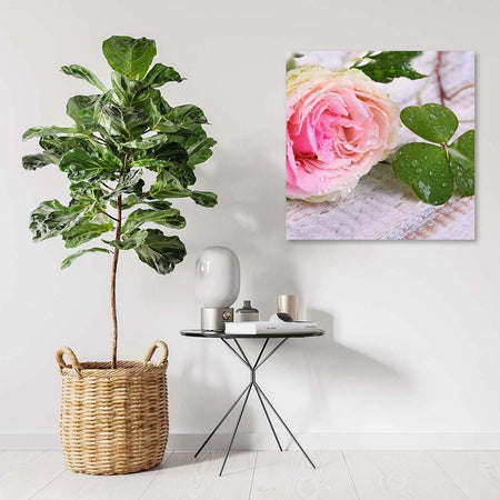 Quadro su tela, Rosa fiore rosa natura