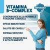 T-rex integratori, vitamina b complex 160 compresse vegan (5 mesi di fornitura)