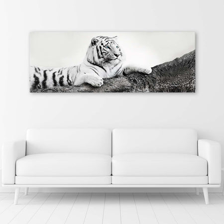 Quadro su tela, Animali tigre Africa
