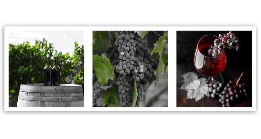 Quadro su tela, Uva Foglie