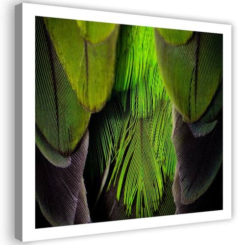 Quadro su tela, Piuma d'uccello verde