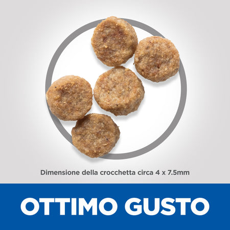 Hill's Mantenimento secco Cani Mature Mini pollo 1,5 kg