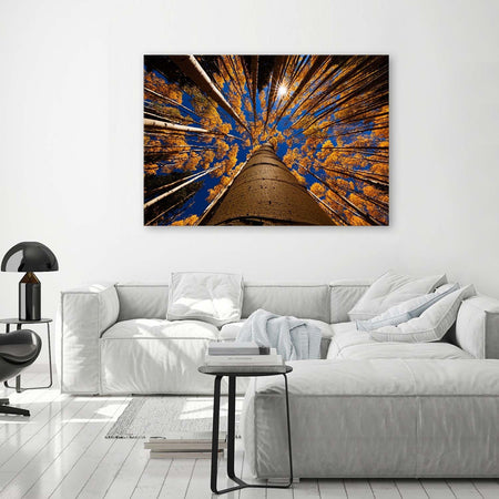 Quadro su tela, Alberi Foresta Paesaggio