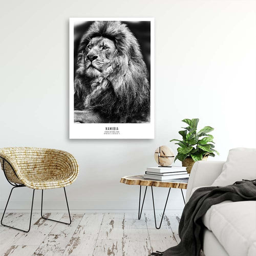 Quadro su tela, Animali Africa Lion