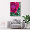 Quadro su tela, Peonia fiore rosa