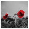 Quadro su tela, Papaveri rossi e mais