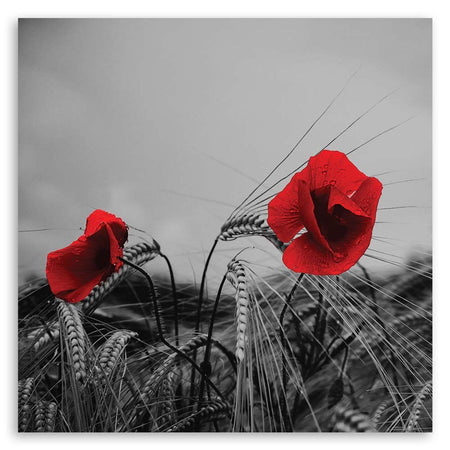 Quadro su tela, Papaveri rossi e mais