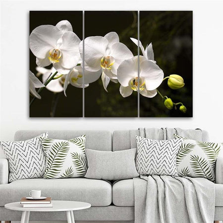 Quadri Quadro Multipannello Fiore di orchidea bianca