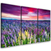 Quadro su tela 3 pezzi Campo di lavanda Natura
