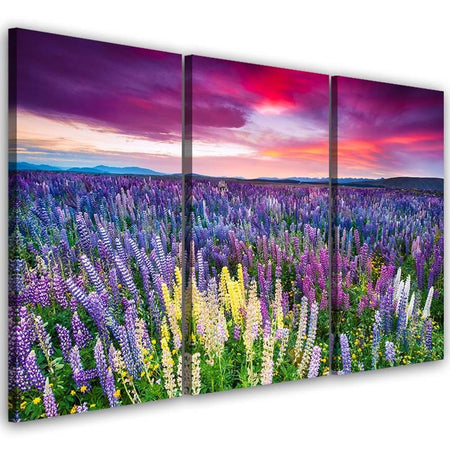 Quadro su tela 3 pezzi Campo di lavanda Natura