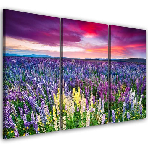 Quadro su tela 3 pezzi Campo di lavanda Natura