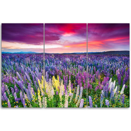Quadro su tela 3 pezzi Campo di lavanda Natura