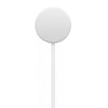 Apple Cavo Magnetico Ricarica Apple Watch USB-C 1m MT0H3ZM/A