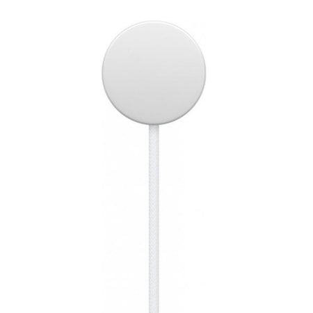 Apple Cavo Magnetico Ricarica Apple Watch USB-C 1m MT0H3ZM/A