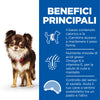 Hill's Light secco Cani Adulti Mini pollo 1,5 kg