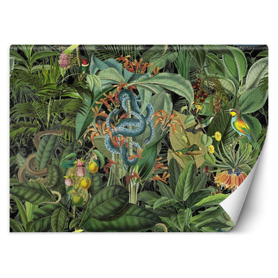 Carta Da Parati, 3D Pappagalli colorati nella giungla