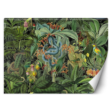 Carta Da Parati, 3D Pappagalli colorati nella giungla