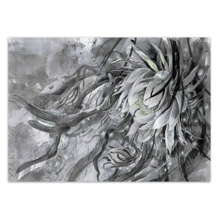 Carta Da Parati, Blumem Ninfea Piante Natura Blu