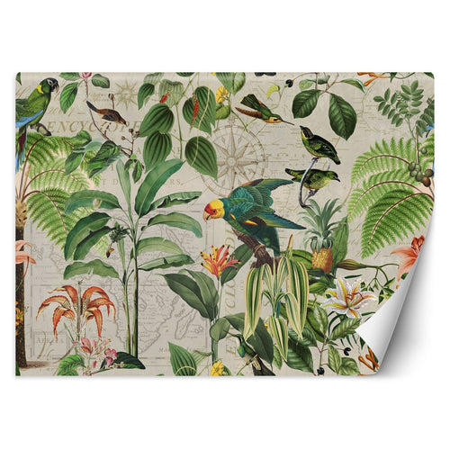 Carta Da Parati, Collage di pappagalli colorati nella giungla