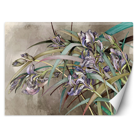 Carta Da Parati, Fiori di Iris Struttura in cemento