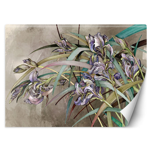 Carta Da Parati, Fiori di Iris Struttura in cemento