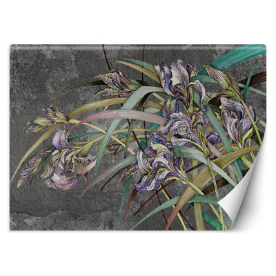 Carta Da Parati, Fiori di Iris Viola Piante