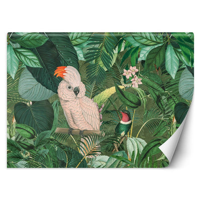 Carta Da Parati, Foglie di Monstera tropicale