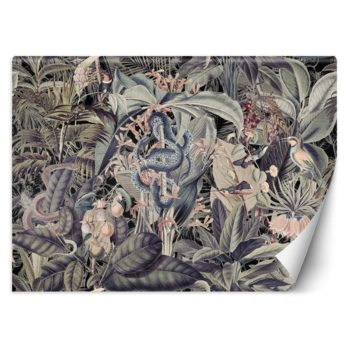 Carta Da Parati, Foglie tropicali Monstera