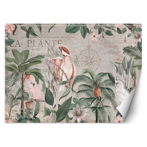 Carta Da Parati, Giungla tropicale