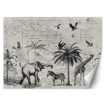 Carta Da Parati, Mappa del mondo e Savana Vintage