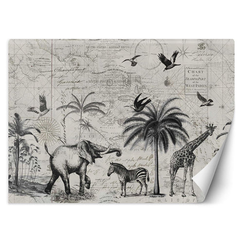 Carta Da Parati, Mappa del mondo e Savana Vintage