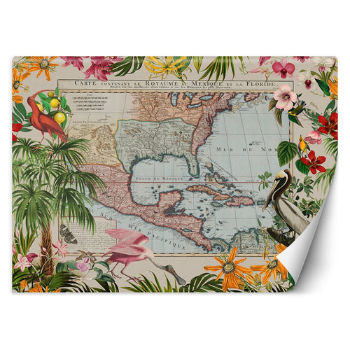 Carta Da Parati, Mappa del mondo Foglie di giungla