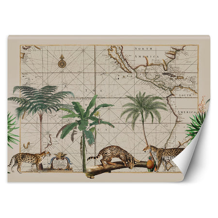 Carta Da Parati, Palma Animali Mappa