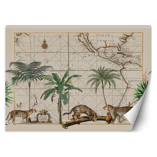 Carta Da Parati, Palma Animali Mappa