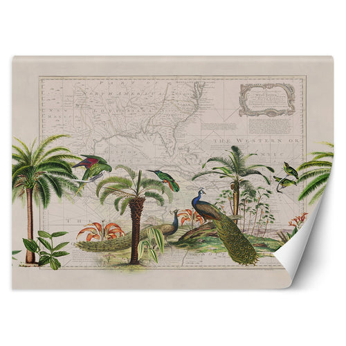 Carta Da Parati, Palma Pavoni Mappa del mondo Boho