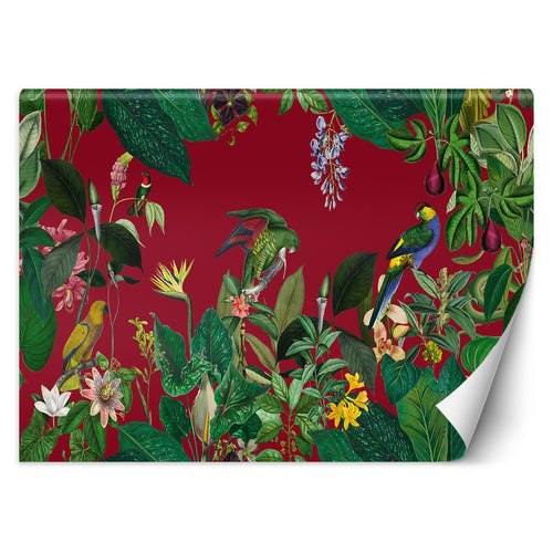 Carta Da Parati, Pappagalli Foglie Giungla Rosso