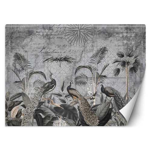 Carta Da Parati, Pavoni ai tropici