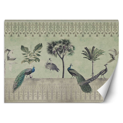 Carta Da Parati, Pavoni nella giungla verde