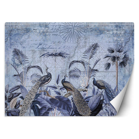 Carta Da Parati, Pavoni uccelli tropicali natura