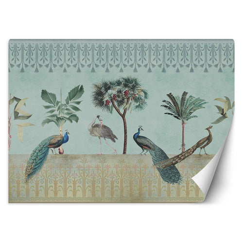 Carta Da Parati, Pavoni Uccelli Tropicali Natura