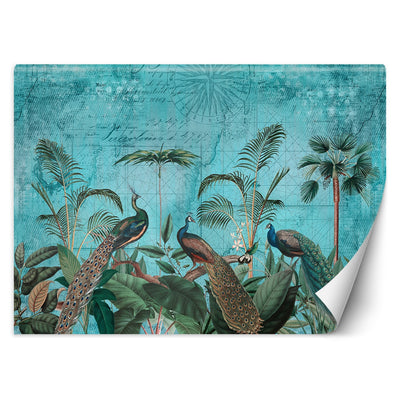 Carta Da Parati, Pavoni Uccelli Tropicali Turchese
