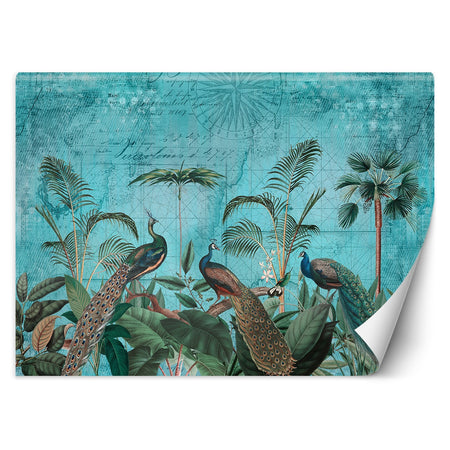 Carta Da Parati, Pavoni Uccelli Tropicali Turchese