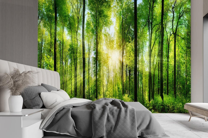 Carta Da Parati, Raggi di sole nella foresta