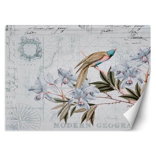 Carta Da Parati, Shabby chic uccelli fiori foglie