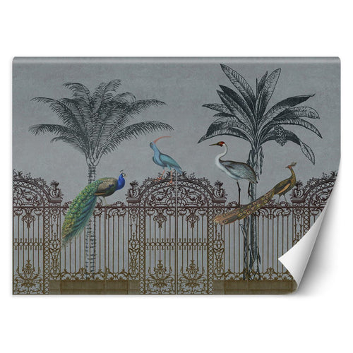Carta Da Parati, Uccelli su un cancello scuro