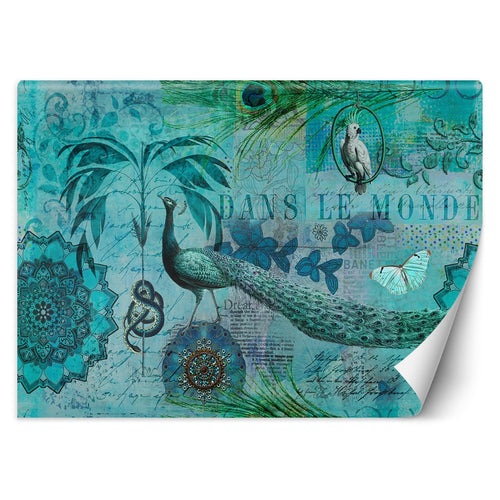 Carta Da Parati, Uccelli tropicali Cartolina turchese