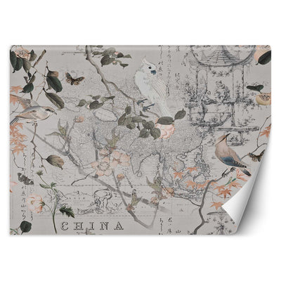 Carta Da Parati, Vecchia mappa e uccelli