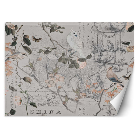 Carta Da Parati, Vecchia mappa e uccelli