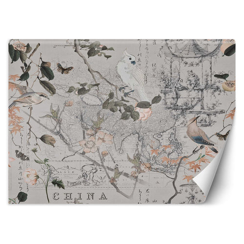 Carta Da Parati, Vecchia mappa e uccelli